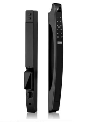 Khóa Điện Tử Lizman AL618-F (Face)